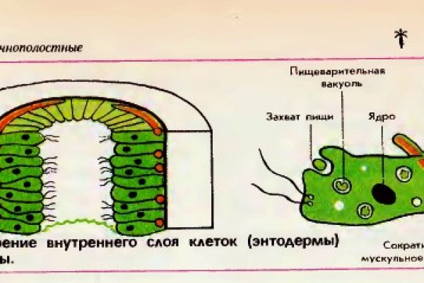 Ссылка на кракен vtor run