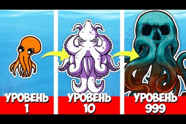 Kraken 12 at